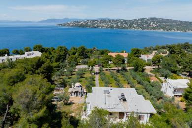 Detached building with unlimited view